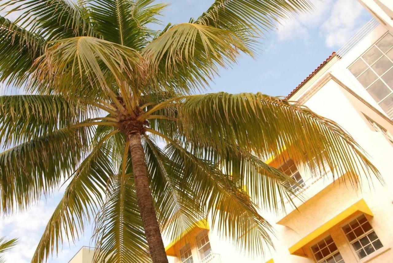 2 Bedroom Ocean Drive Newly Renovated Miami Beach Kültér fotó